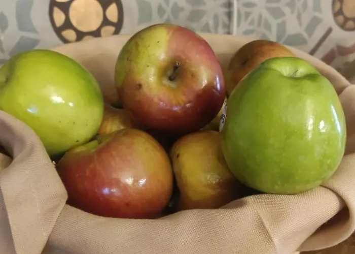 Hotel Jardin De La Abadia, Arroyo de la Encomienda